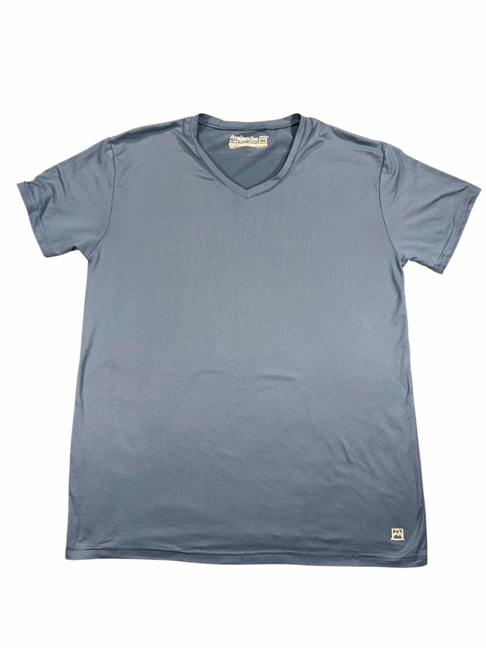 AVALANCHE Men's V-Neck T-Shirt in Slate Blue